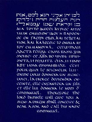 208hd -Many Languages Christmas Card - half dozen