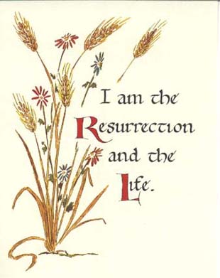 305hd - Full Color Greeting Sympathy Card - half dozen