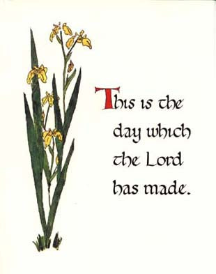 306hd - Full Color Greeting Note Card - half dozen